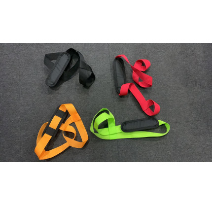 Переноска для квадів ProRoliki 